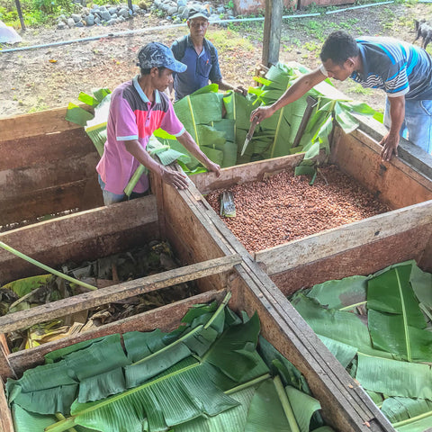NEW 70% Indonesia 50g Bar