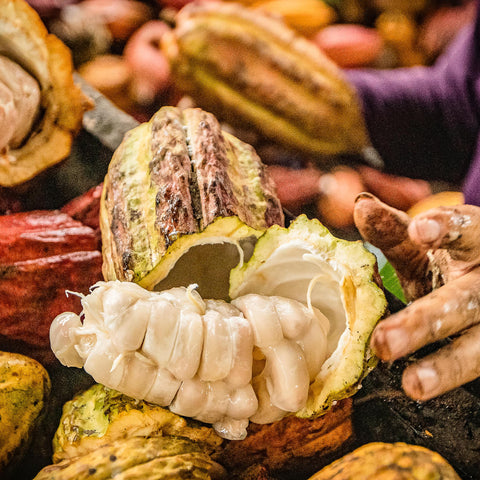 100% Philippines 25g Bar