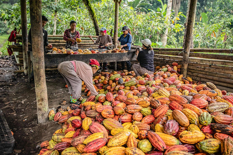 Philippines - Kablon Farms