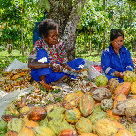 NEW 70% Indonesia 50g Bar