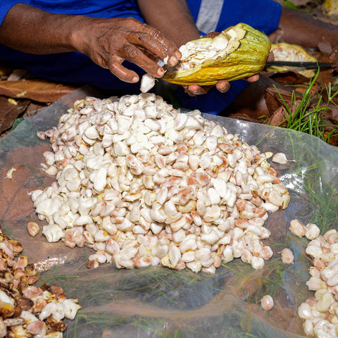 NEW 70% Indonesia 50g Bar