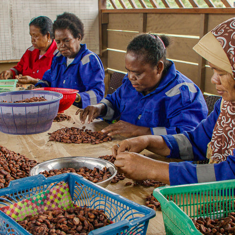 NEW 70% Indonesia 50g Bar