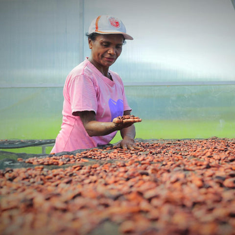 NEW 70% Indonesia 50g Bar