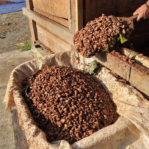 NEW 70% Indonesia 50g Bar