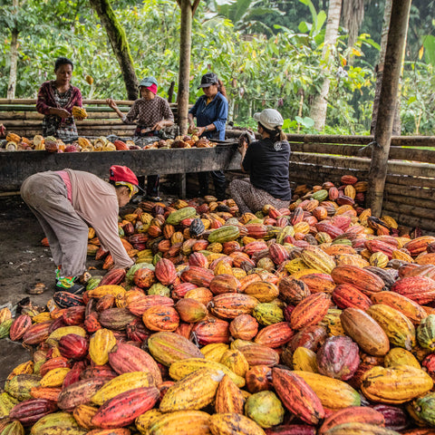 100% Pure Collection (4 bars)