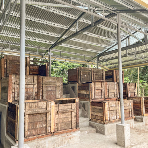 100% Pure Collection (4 bars)