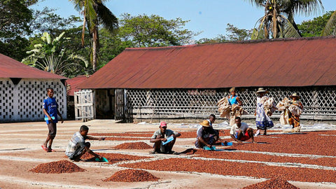 Madagascar - Åkesson's Organic Estate