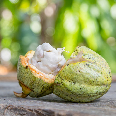 NEW 70% Mexico "Lavado" 50g Bar