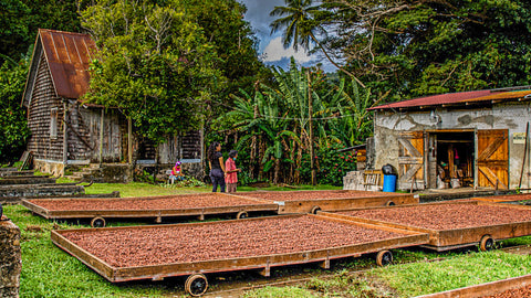 Grenada - L'Esterre Organic Estate