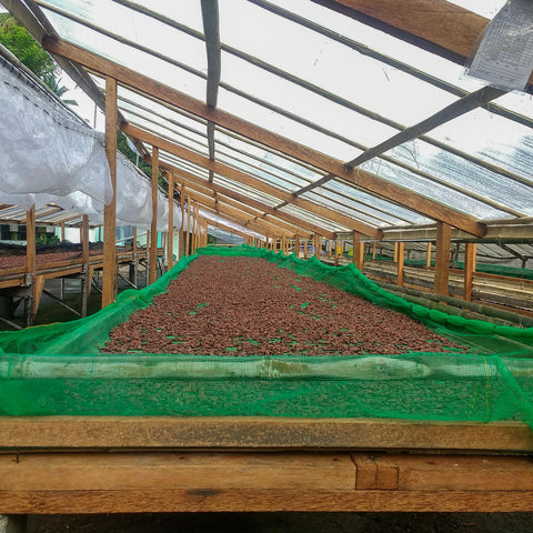 100% Philippines 25g Bar