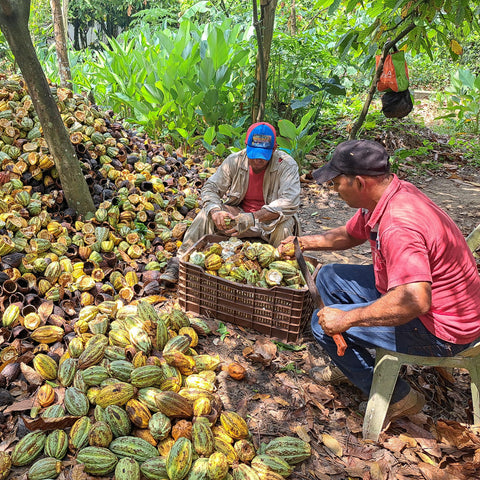 NEW 70% Mexico "Lavado" 50g Bar