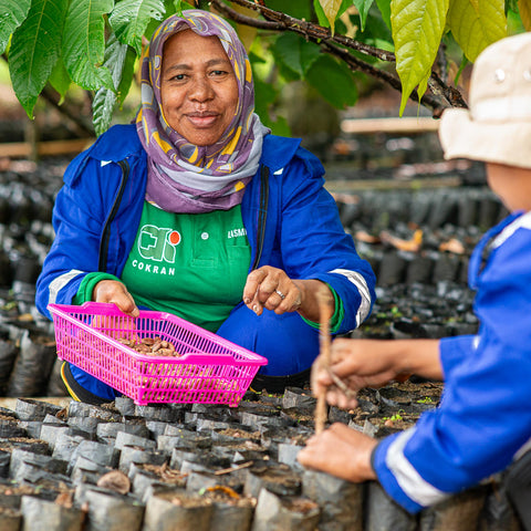NEW 70% Indonesia 50g Bar