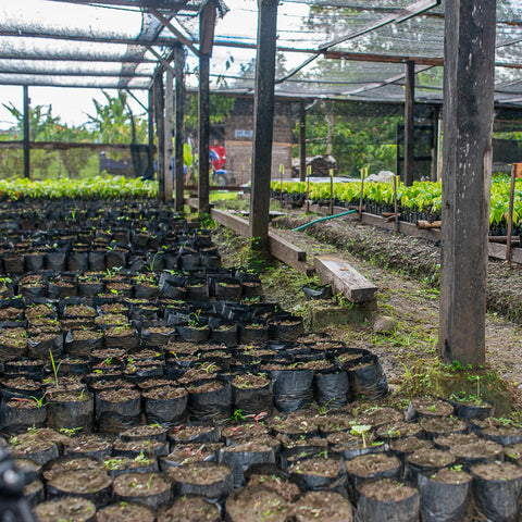 NEW 70% Indonesia 50g Bar