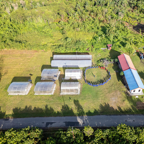 NEW 70% Indonesia 50g Bar