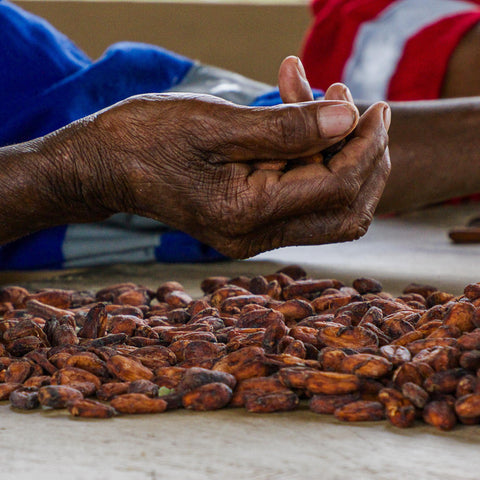 NEW 70% Indonesia 50g Bar
