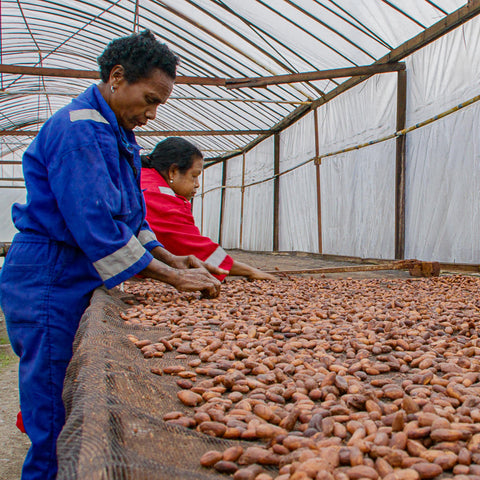 NEW 70% Indonesia 50g Bar