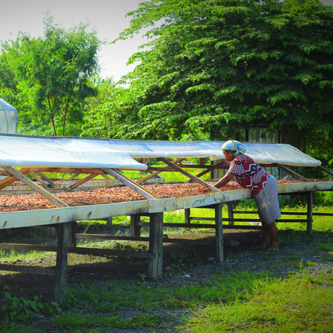 NEW 70% Indonesia 50g Bar