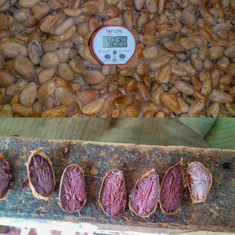 NEW 70% Mexico "Lavado" 50g Bar