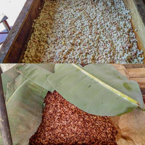 NEW 70% Mexico "Lavado" 50g Bar