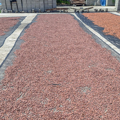 NEW 70% Mexico "Lavado" 50g Bar