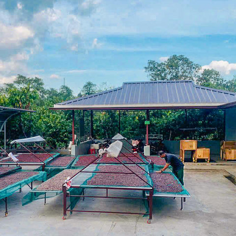 NEW 70% Vietnam 50g Bar