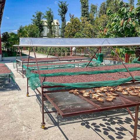 NEW 70% Vietnam 50g Bar