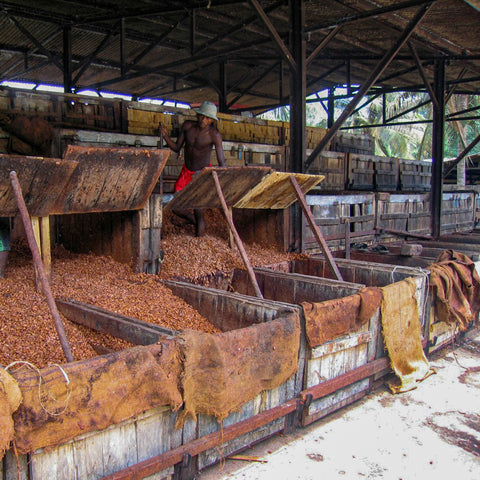 70% Madagascar Akesson 50g Bar