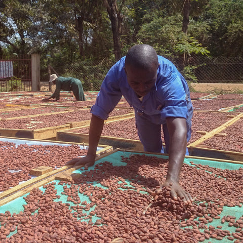 70% Tanzania Kokoa Kamili 50g Bar