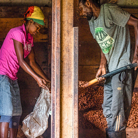 70% Grenada L'Esterre 50g Bar